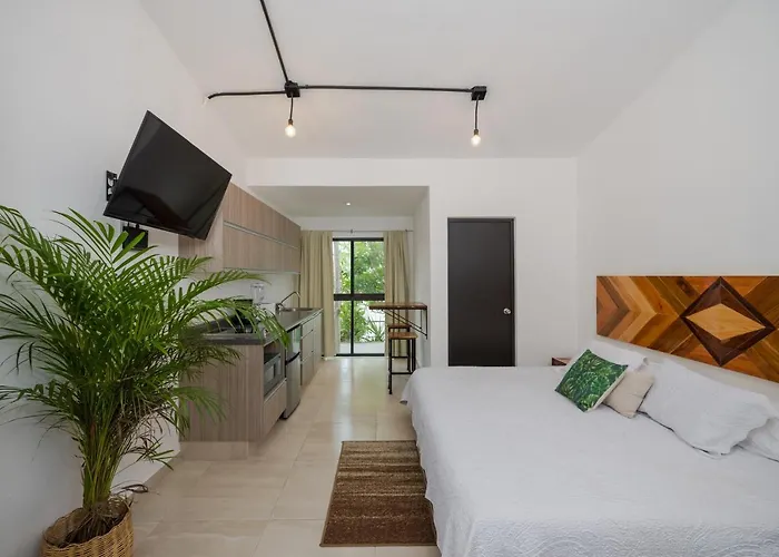 Studio Apartment